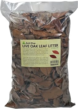 Joshs Frogs Organic Live Oak Leaf Litter, 1 Gallon/500 Leaves | USA Collected