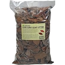 Joshs Frogs Organic Live Oak Leaf Litter USA Collected 1 Gallon/ 500 Leaves