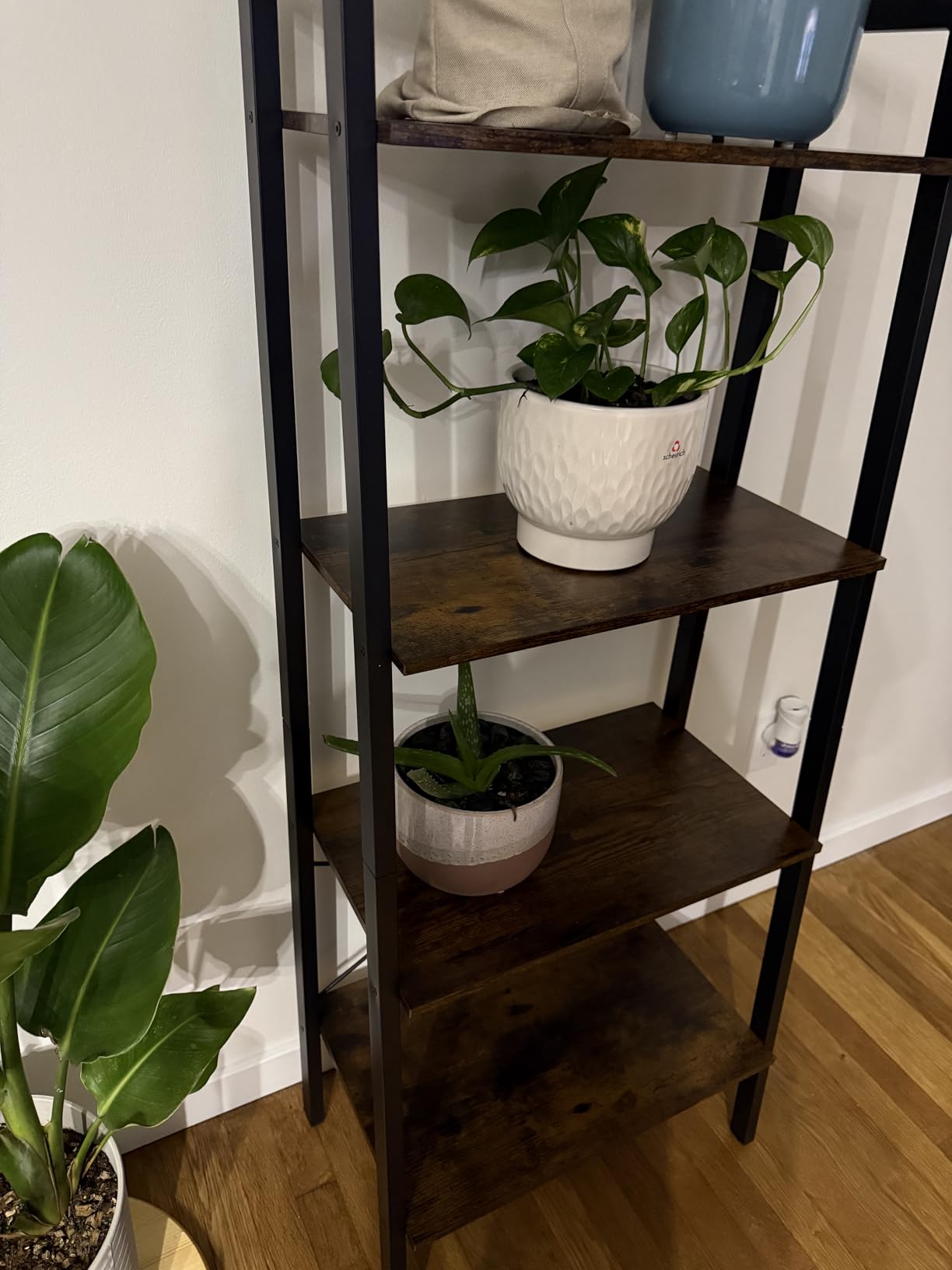 VASAGLE 4-Tier Ladder Shelf in living room setting