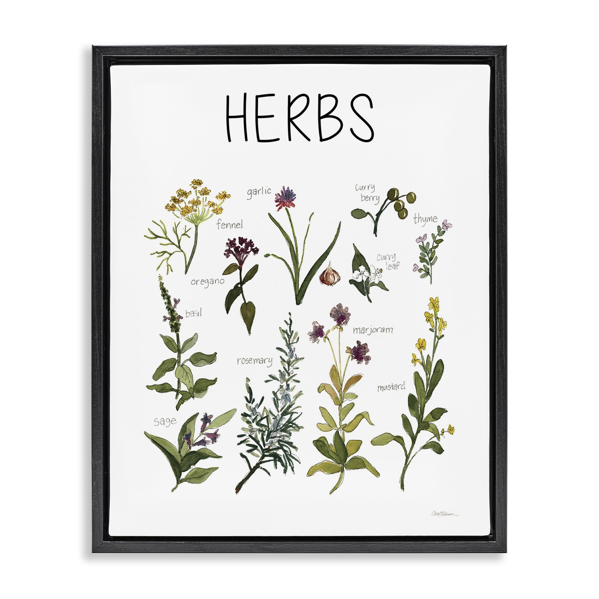 Stupell Industries Herbs Identification Chart 'Herbs Identification Chart', Floating Frame Canvas Art, Black, 25 X 31 Inches, Easy To Hang And Sturdy, Made In Usa, By Carol Robinson