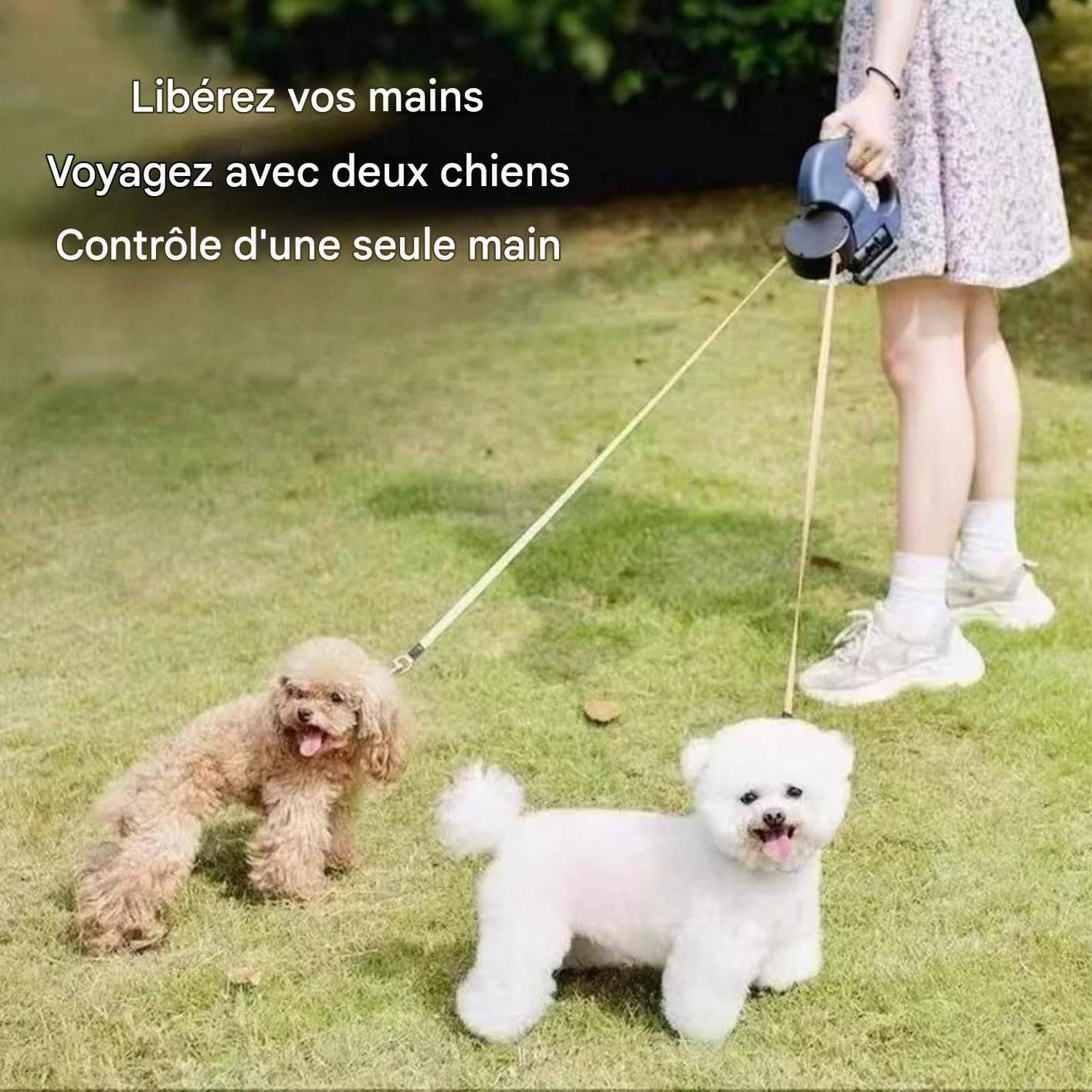 Guinzaglio Doppio per Due Cani Guinzaglio Antiscivolo Pieghevole | Guinzaglio Esterno per Cani per Passeggiate all'Aperto Spiaggia Escursionismo Corsa Raccolt