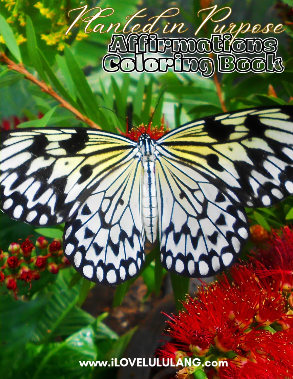 Planted in Purpose Affirmation Coloring Book (Color With Confidence Series)