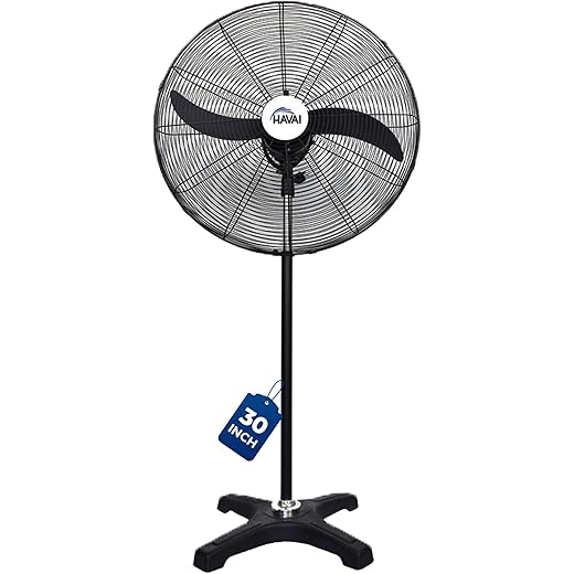 HAVAI 30 Inches BLDC Pedestal Fan 2 Blade Design Energy Effi