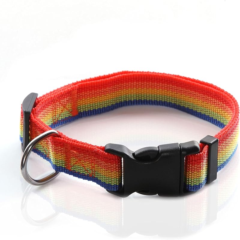 Coleira Ajustável de Nylon para Cães TAIDA com Argola Metálica Cromada, Rainbow