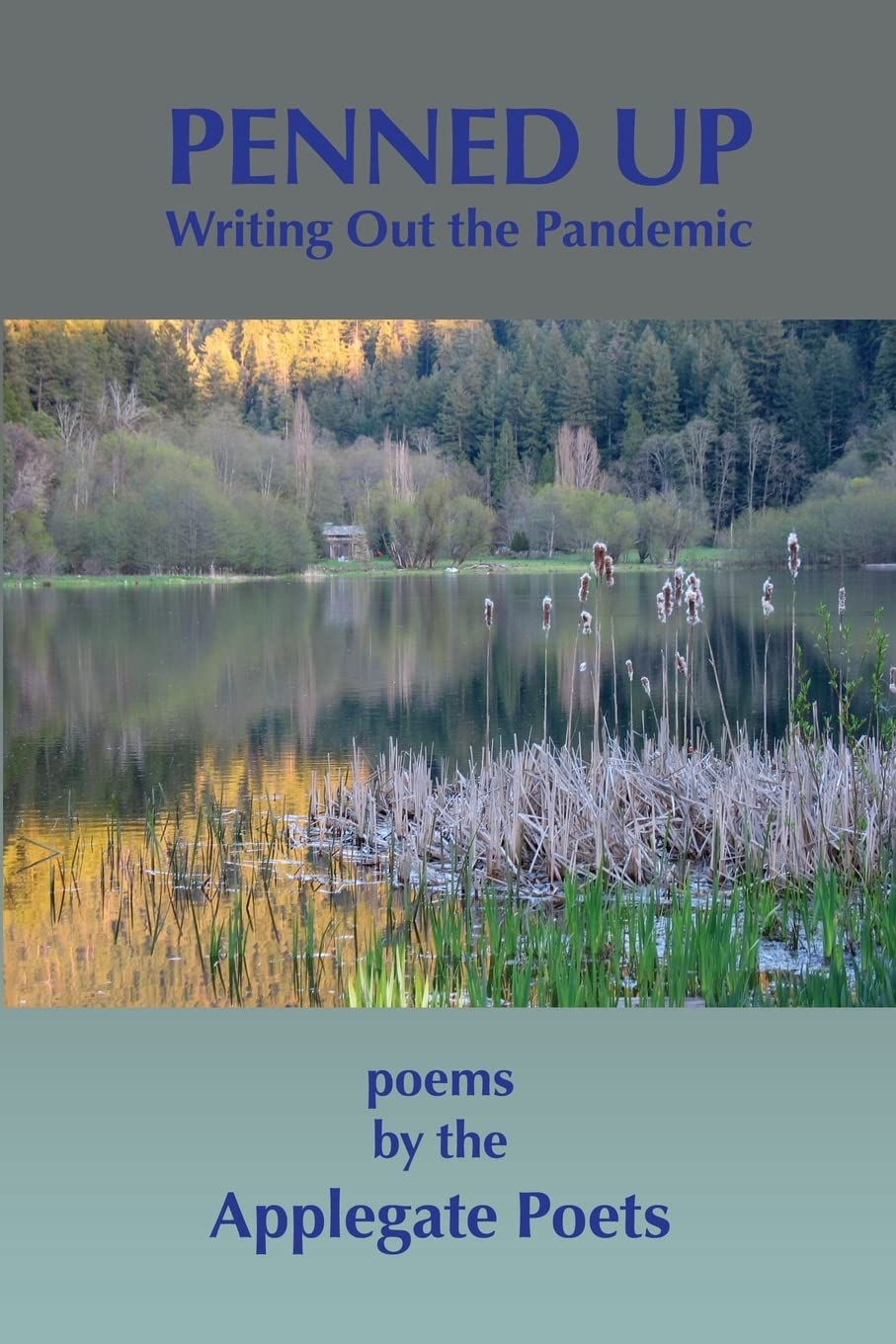 Penned Up: Writing Out the Pandemic