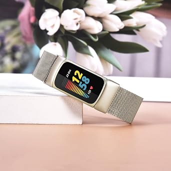 KOREDA Fitbit Charge 5 バンド レディース メンズ ステンレススチール メッシュループ 調節可能な磁気リストバンド Fitbit Charge 5 Advanced Fitness & Health Tracker用 シャンパンゴールド
