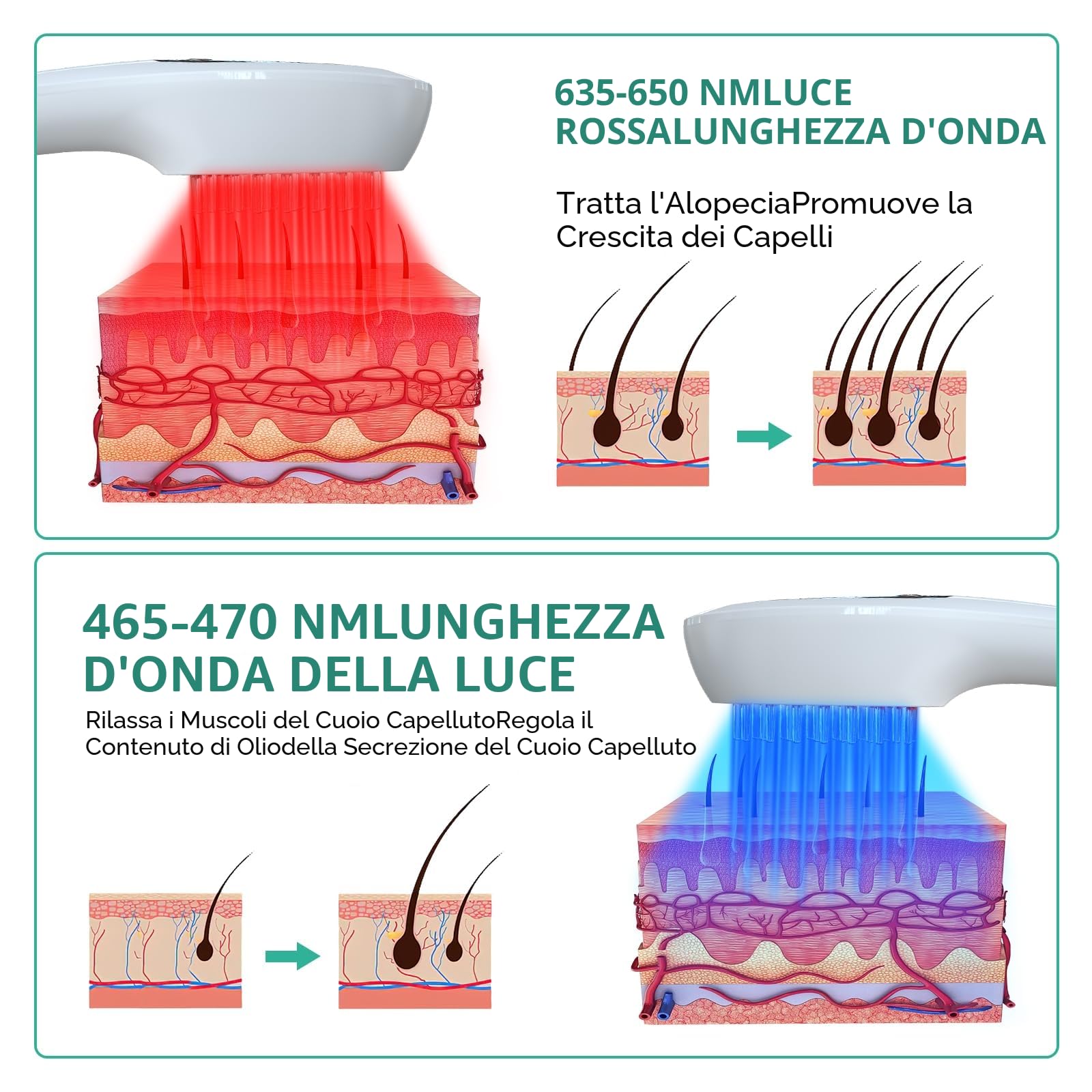 Pettine laser per la crescita dei capelli con luce rossa e blu per la perdita dei capelli, cura dei capelli e attivazione dei follicoli, pettine anti-caduta dei capelli per uomini e donne