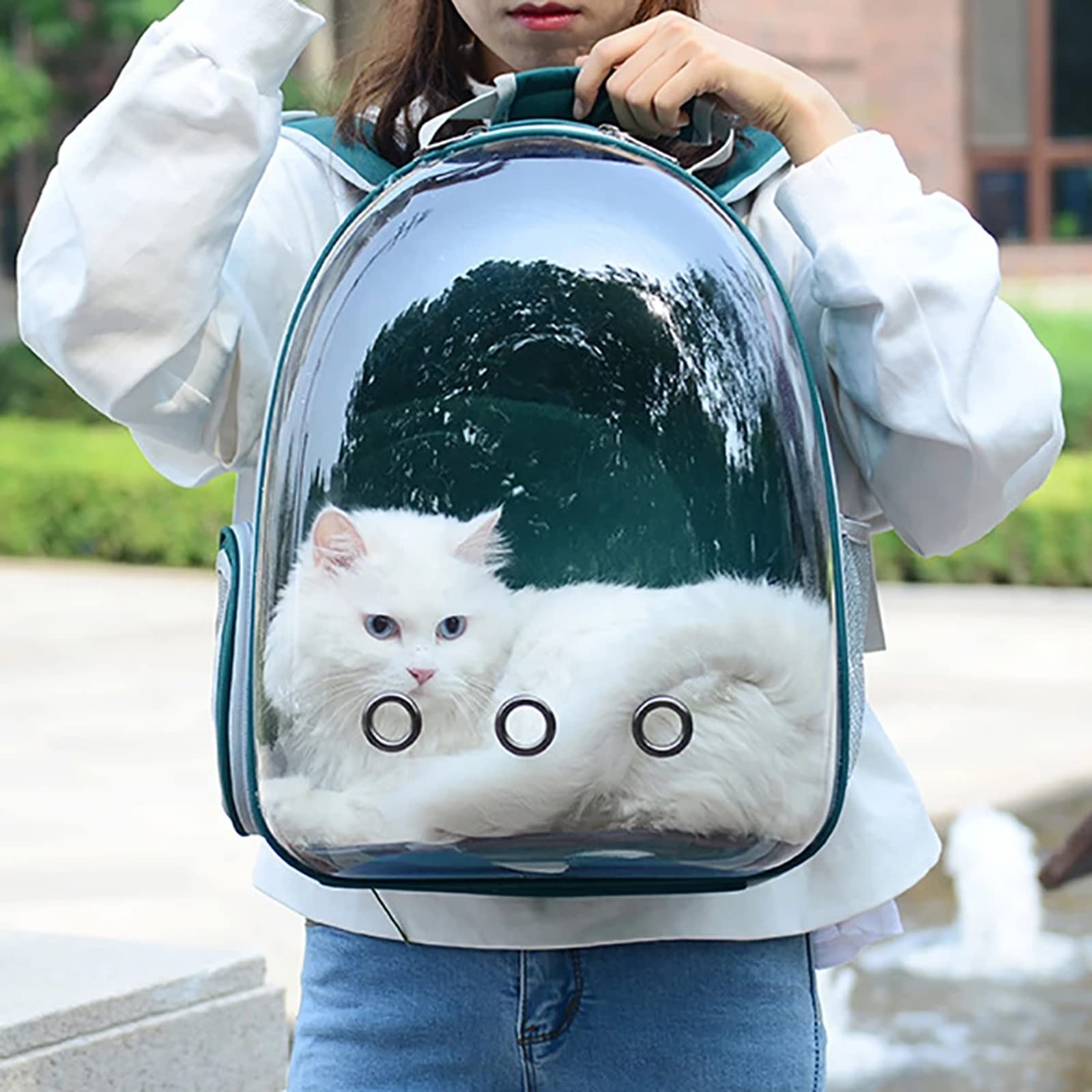 liuwei Mochila para Mascotas, Mochila Transparente para Gatos, Mochila portátil para Viajes al Aire Libre con ventilación para Perros,Gris