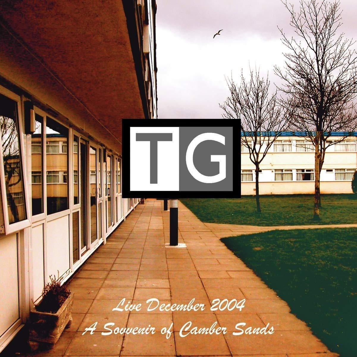A Souvenir Of Camber Sands: Live December 2004 [VINYL]