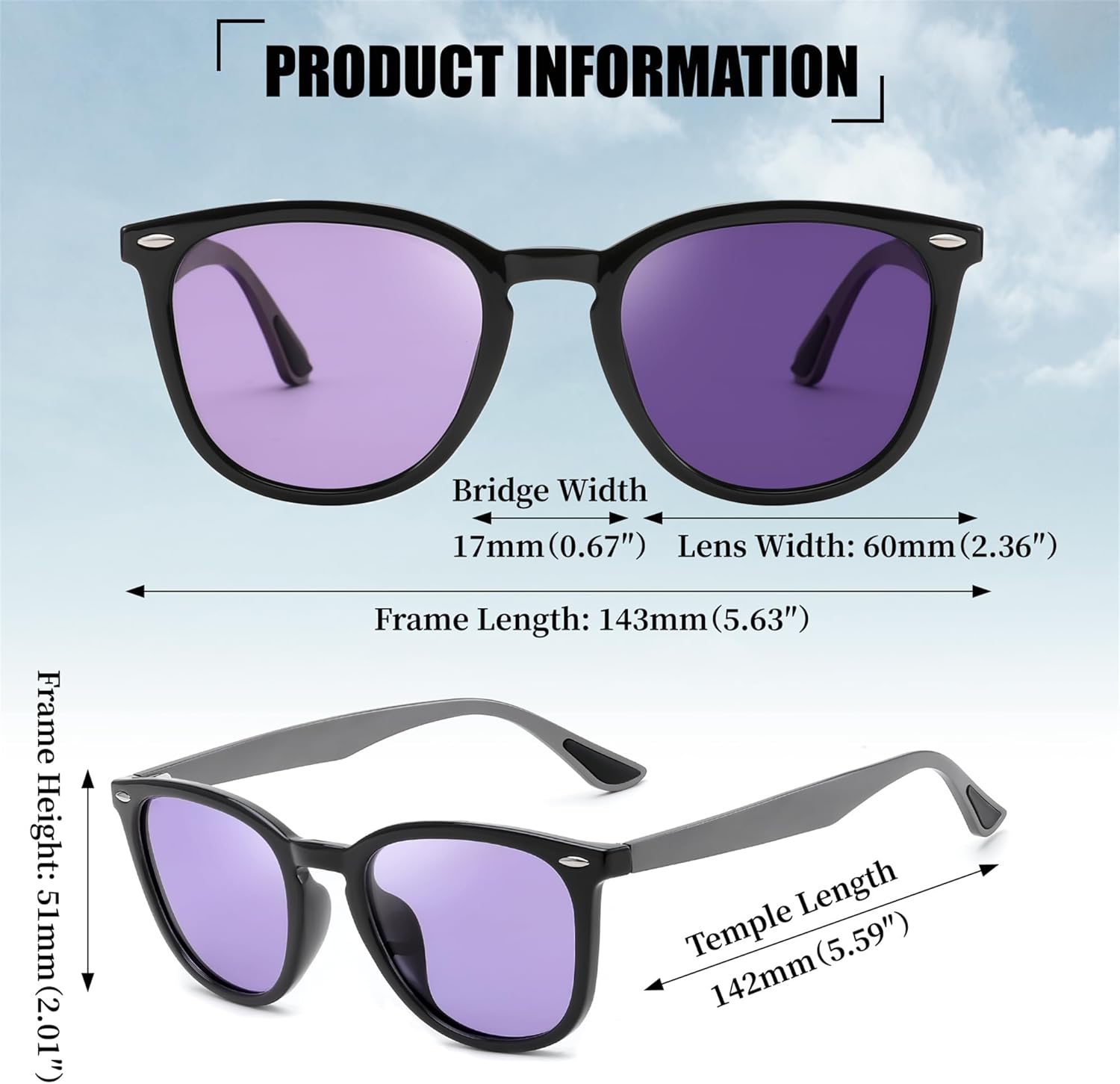 FEISEDY Retro Photochromic Classic Polarized Sunglasses for Women Men Trendy Style Vintage Sunnies B1123
