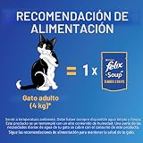 Ver la foto 4