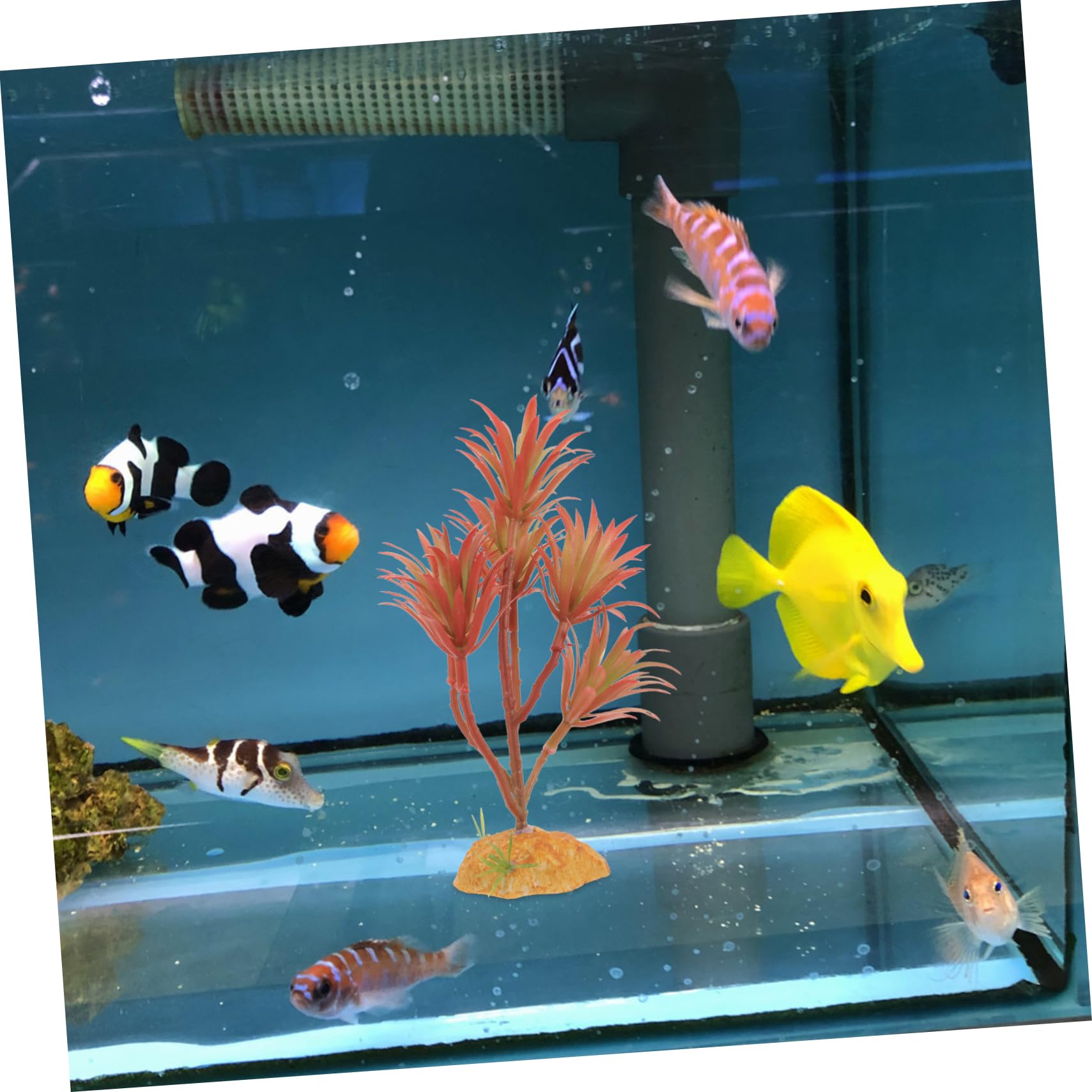 BESPORTBLE 4 Pz Piante verdi e paesaggistiche simulate piante d'acquario finte substrato dell'acquario decorazioni per acquari piante acquatiche artificiali decorazione dell'acquario di pesci