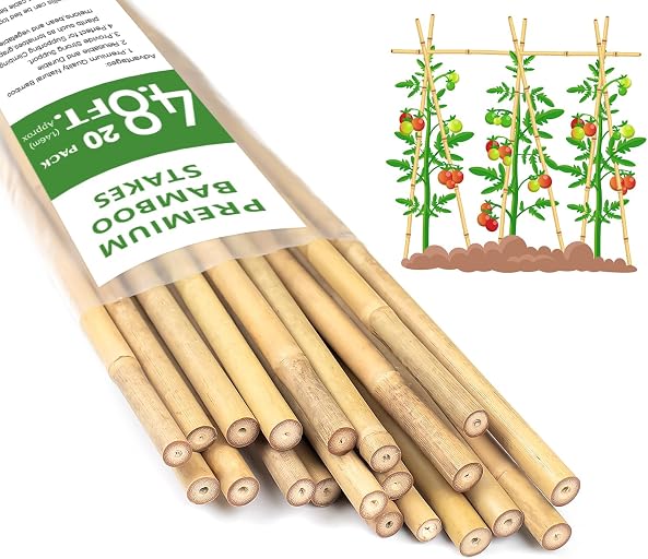 Plant Stakes 4.8FT, Natural Bamboo Stakes,20Pcs Sturdy Bamboo Garden Stakes | HAINANSTRY Bamboo Sticks for Plants, Beans, Indoor and Outdoor Climbing Plants, Tomato Vegetable Stakes for Garden