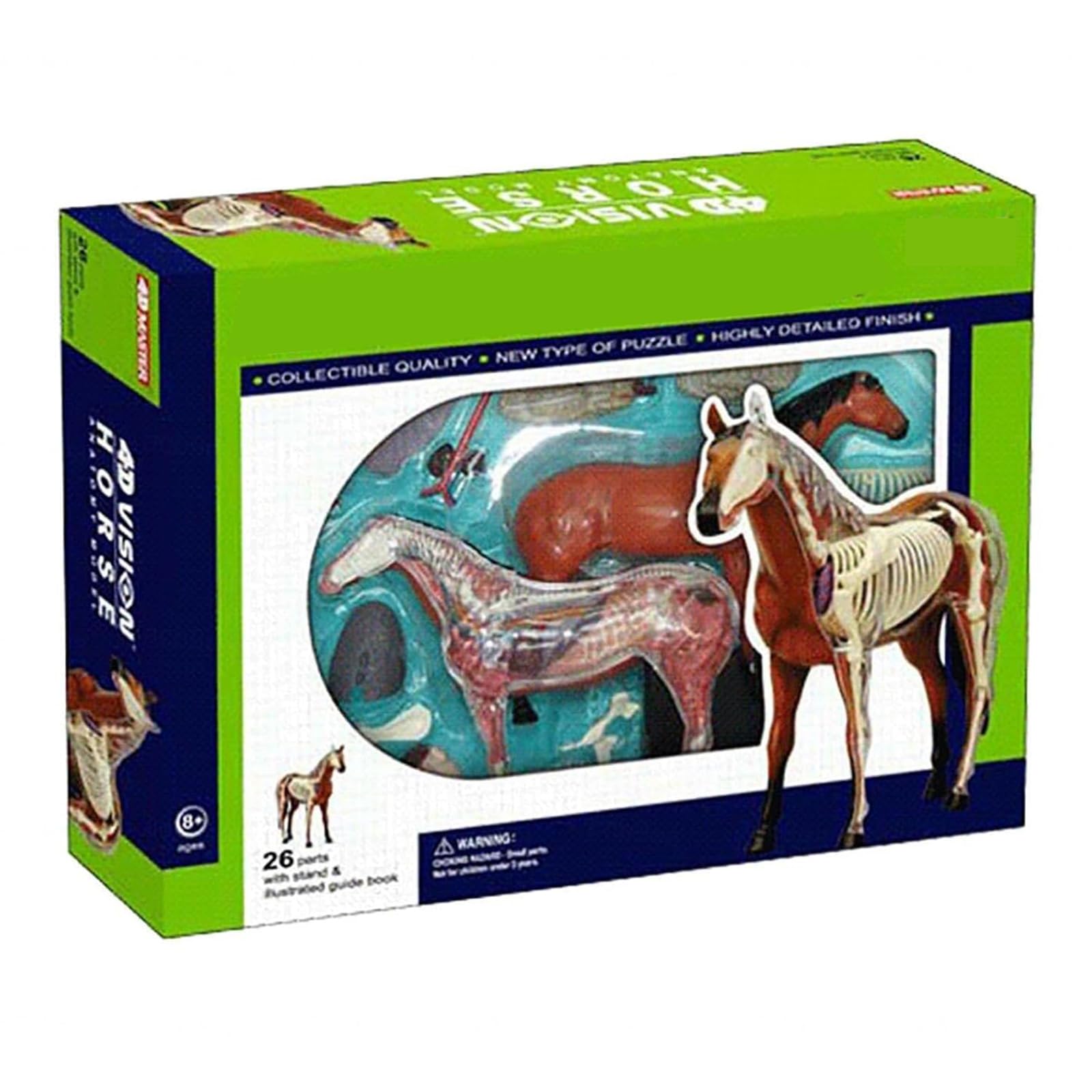 Generisch 4D Pferd Anatomie Modell - Tier Skelett Probe, abnehmbare Biologie, 26 Teile für Pet Clinic Tierarzt Lehre Demonstration