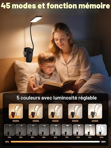 Lampe de Lecture,9 Niveaux de Luminosité+5 Couleur Lampe de Bureau Sans Fil - 2