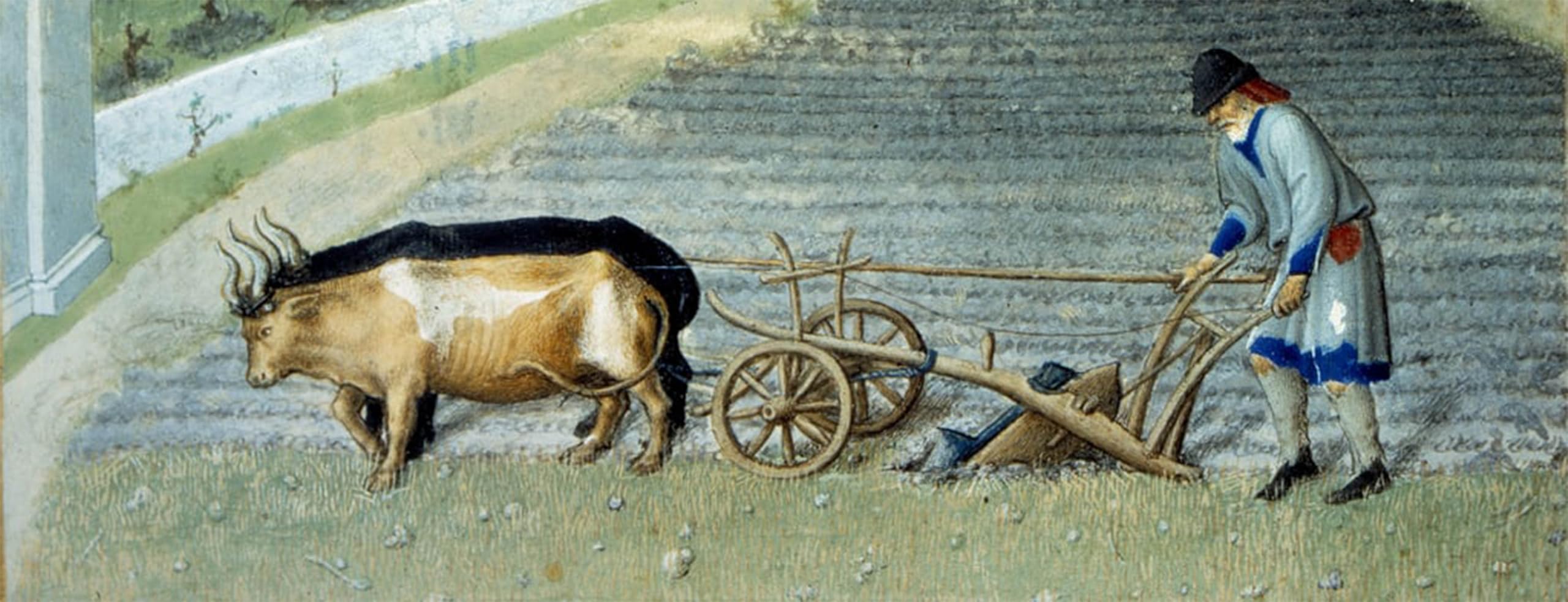 Cuadro campesino arando campo March Snow Pol De Limbourg lienzo 5