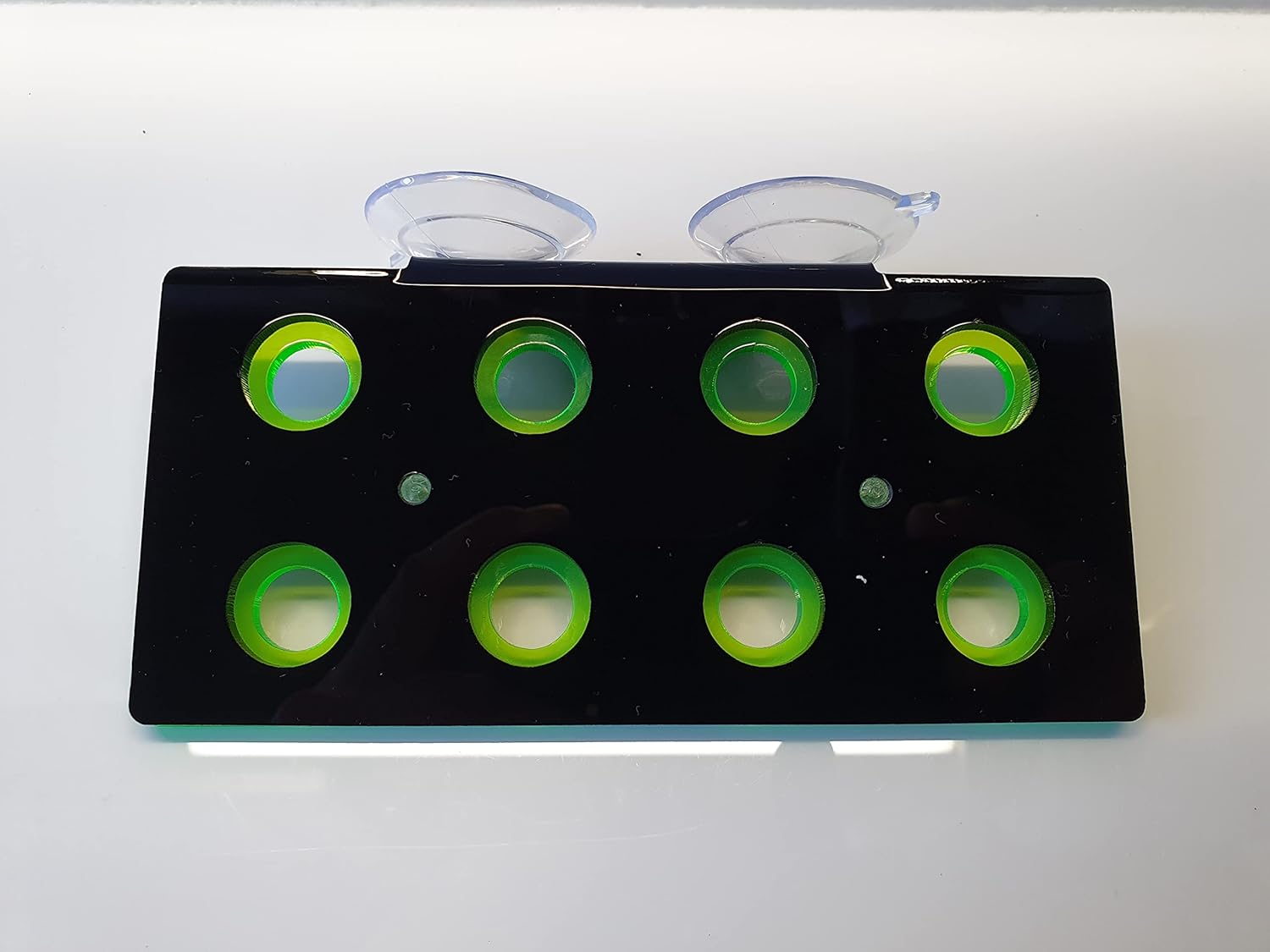 Reef Geeks Premium 8-Hole Acrylic Frag Rack - Dual Colour Coral Frag Holder with 38mm Suction Cups, Black-light Blue - Image 4