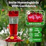 Feeder en plastique pour colibris, 2-Pack 14 OZ Fourmi & Abeille Proof Cummingbird Feeders pour l'extérieur Suspendre, Fuite-Proof Nectar Feters avec 4 Ports et perches nourrissants, Cadeaux pour maman, Oiseaux