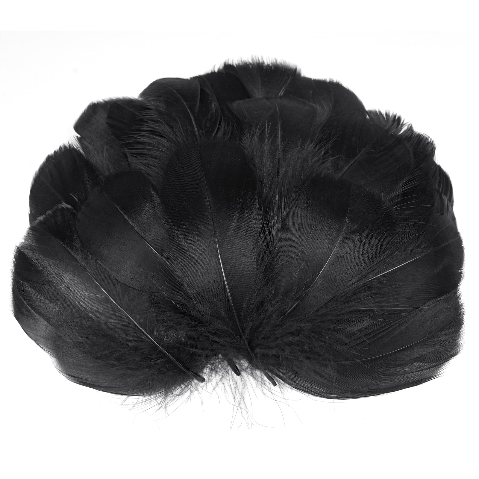 AOOTE Schwarze Federn,100 Stück Deko Federn,6~12cm,Natürliche Feder,Weich Federn,Flaumfedern,Feder Handwerk für DIY Ohrring,Kopfschmucksfedern,Traumfänger,Hochzeit,Ostern,Weihnachten