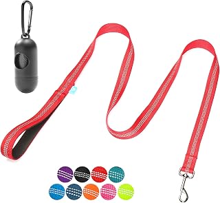 BAAPET 5 Feet Nylon Dog Leash with Triple Reflective Threads and Comfortable Padded Handle for Walking, Training Lead Small Puppy, Medium and Large Dogs (3/4'' x 5 FT, Red)
