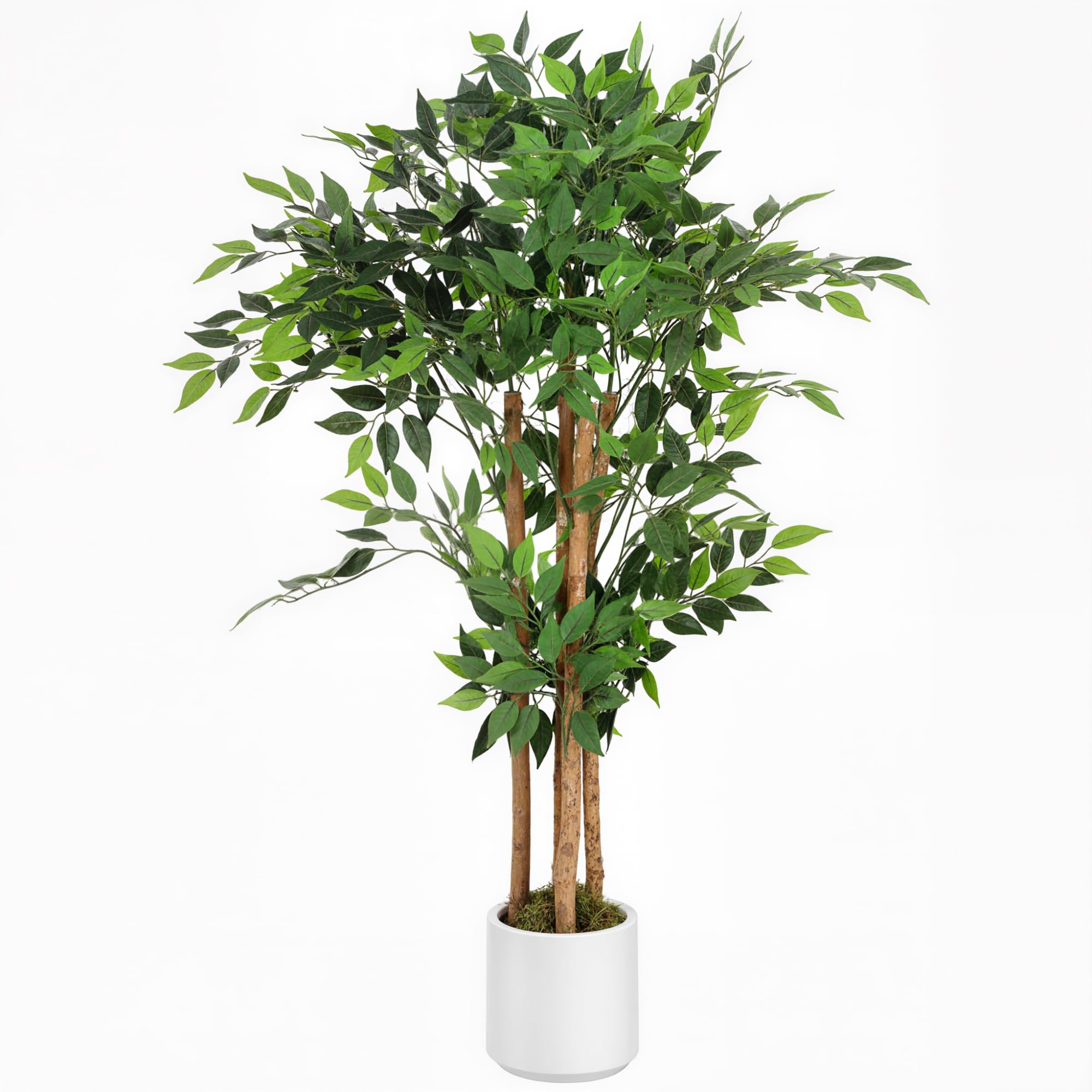 HOMCOM Pianta Artificiale di Baniano con Rami Orientabili e Vaso Contenitore Bianco in PP e Cemento, Pianta Verde in PEVA e Legno, per Interno, Ufficio, Soggiorno, Camera da Letto, 55x55x120 cm