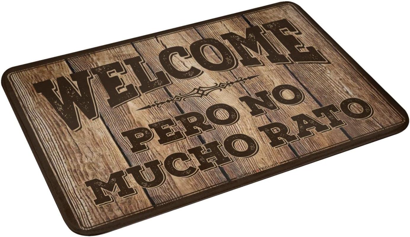 Spring Welcome Mat Welcome Pero No Mucho Rato Welcome Door Mat Rugs for Outdoors (Color : Style B, Size : 65X90CM)