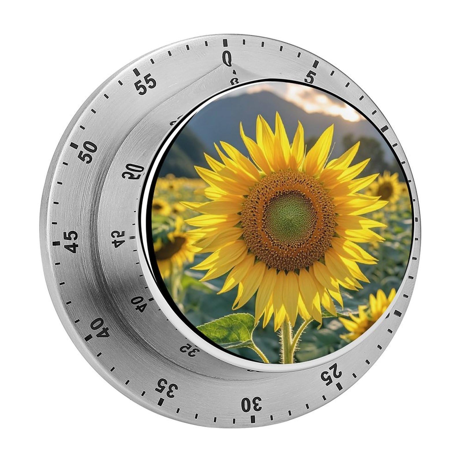The Most Beautiful Sunflower Fashion Visual Timers Wind Up 60 Minutes Desk Stainless Steel Magnetic Timer Countdown Clock No Batteries Loud Alarm for Kitchen Chef Cooking