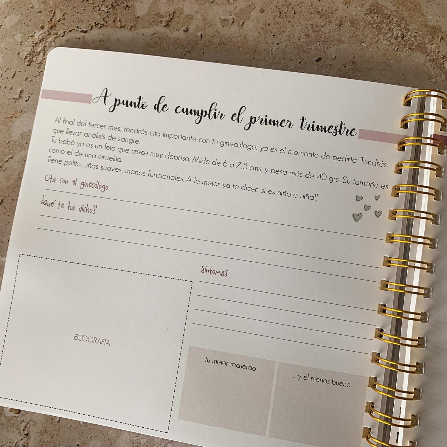 SUSIKO - Diario de Embarazo 'Y Aquí Comienza Nuestra Historia' | Diseñado con Cariño para Acompañarte en todo Momento | Un Tesoro para Fotos, Notas y Recuerdos | Regalo Ideal para Futuras Mamás