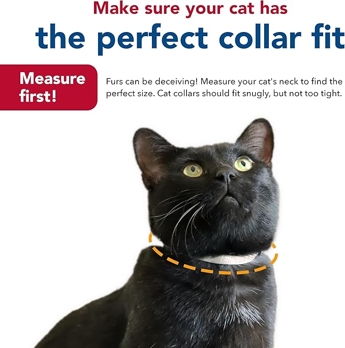 Collar Desprendible para Gato Coastal Pet New Earth Soy, Rosa, 3/8" x 08"-12" miniatura 7
