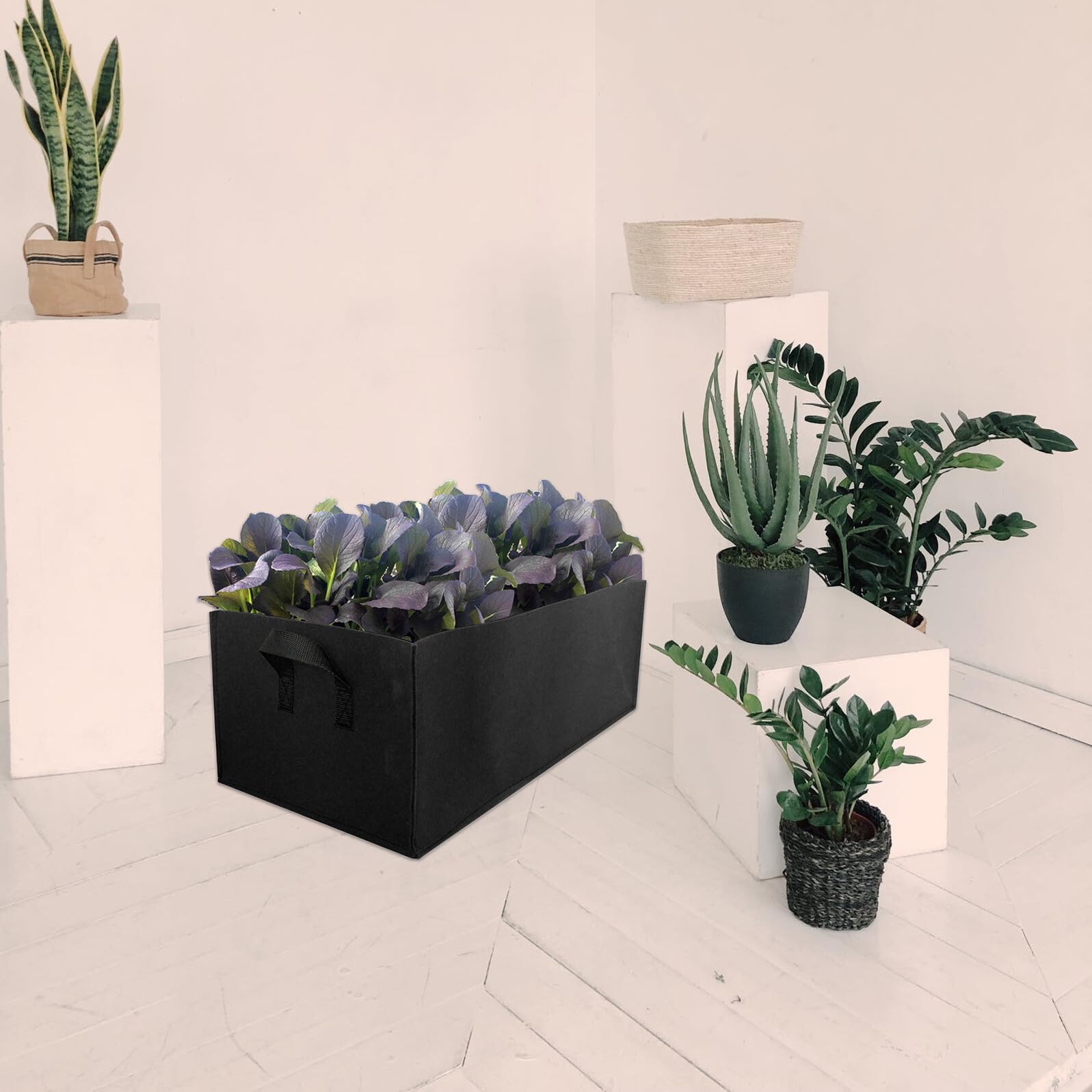 Yardenfun 6 Pièces Sacs de Culture Carrés Non-tissé Noir Moyen Sacs de Plantation Réutilisables pour Légumes Jardin Pommes de Terre Aération des Racines