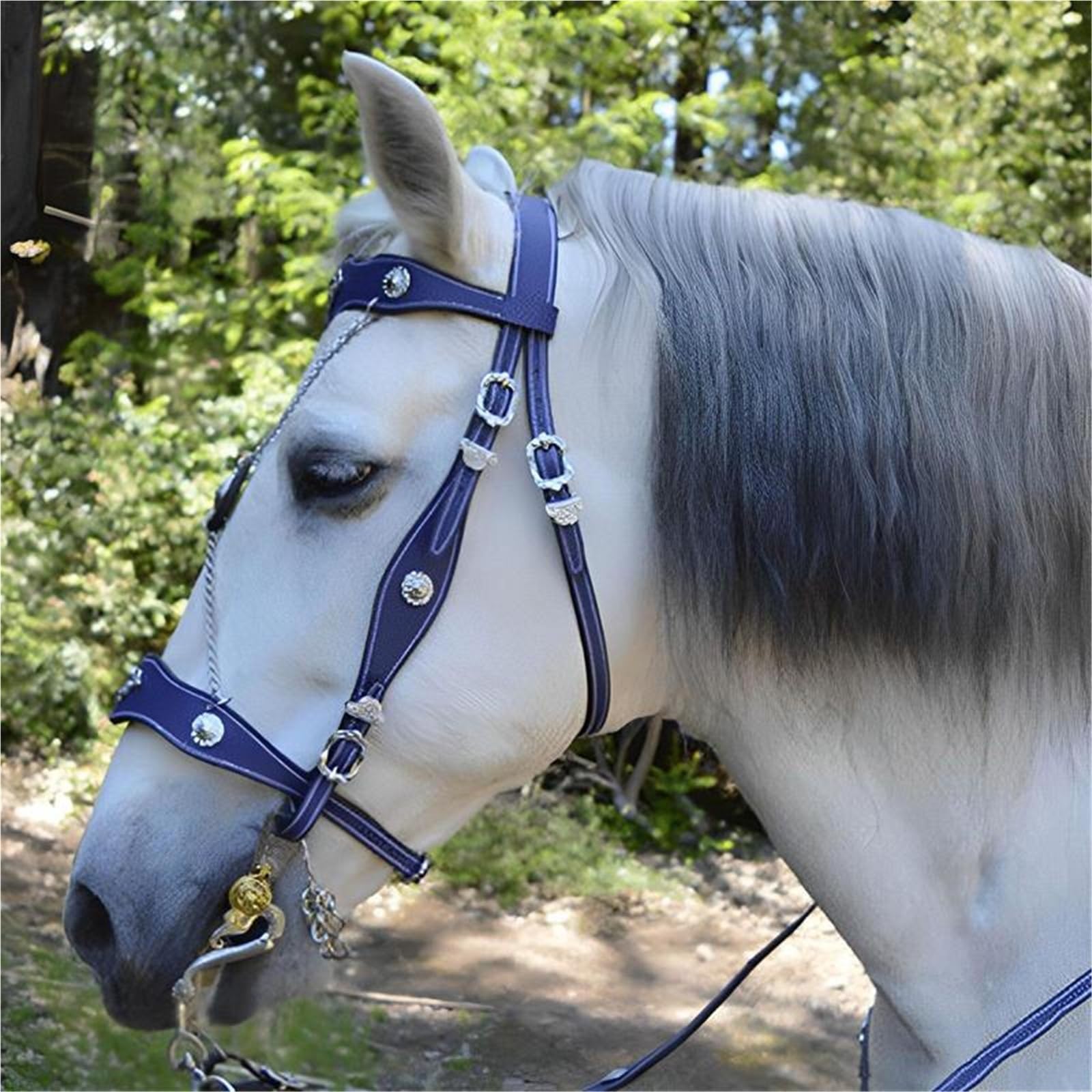 Halfter Für Pferde Ungefesselte Halfter und Führseile aus PU-Leder for Pferde, ergonomisch, bequem, mit Metallschnalle(Blue)