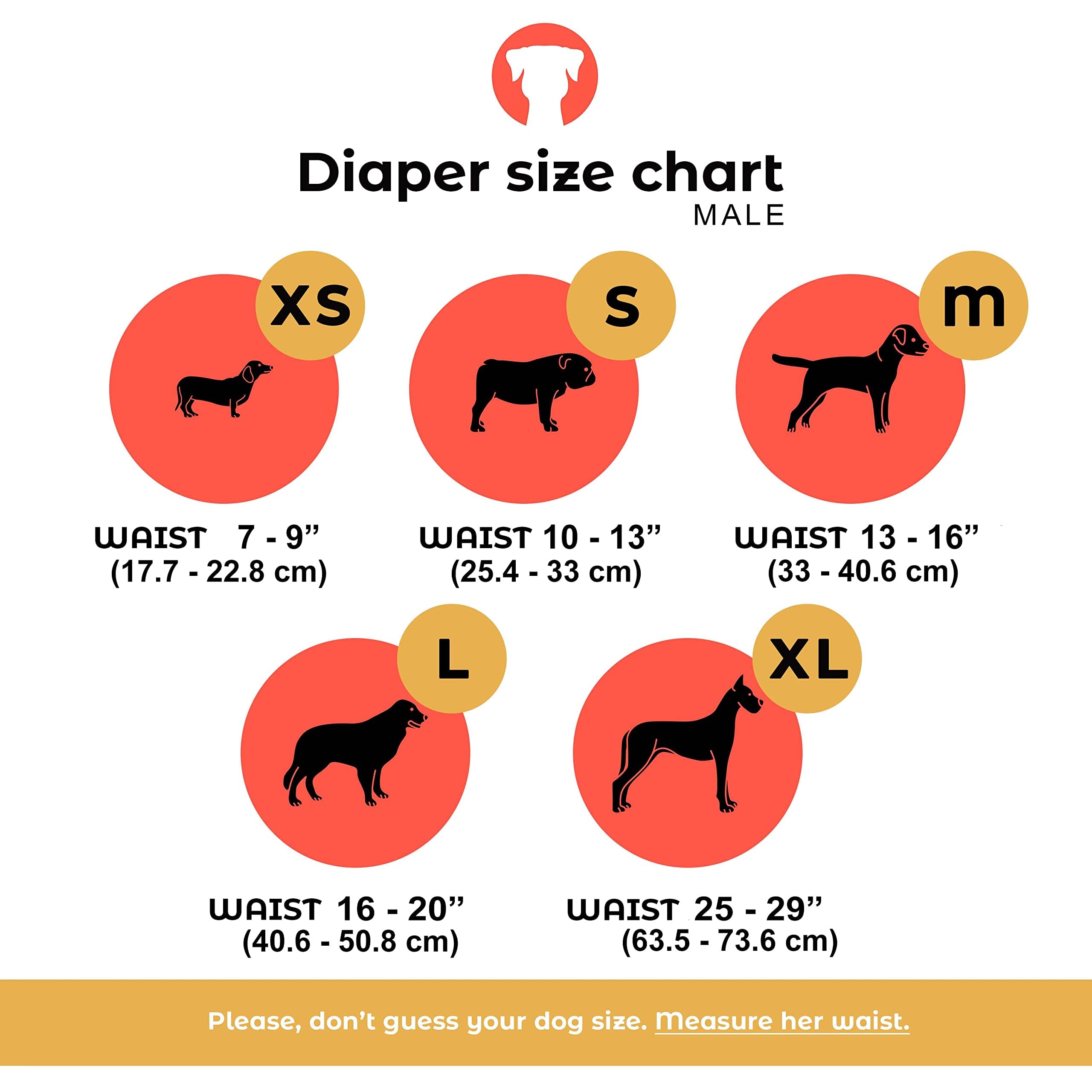 PETTING IS CARING Dog Diapers Male - Reusable Dog Belly Bands for Male Dogs, Pack of 3 - Males Dog Diapers, Puppy Diapers Male, Belly Bands for Dogs - Durable & Comfortable Design