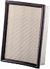 ECOGARD XA5105 Premium Engine Air Filter Fits 2001-2006 BMW 330Ci, 325Ci, 2004-2006 X3, 2001-2005 330i, 2003-2009 Z4, 2001-2005 325xi, 2001-2003 530i, 525i, 2001-2005 330xi, 2001-2002 Z3