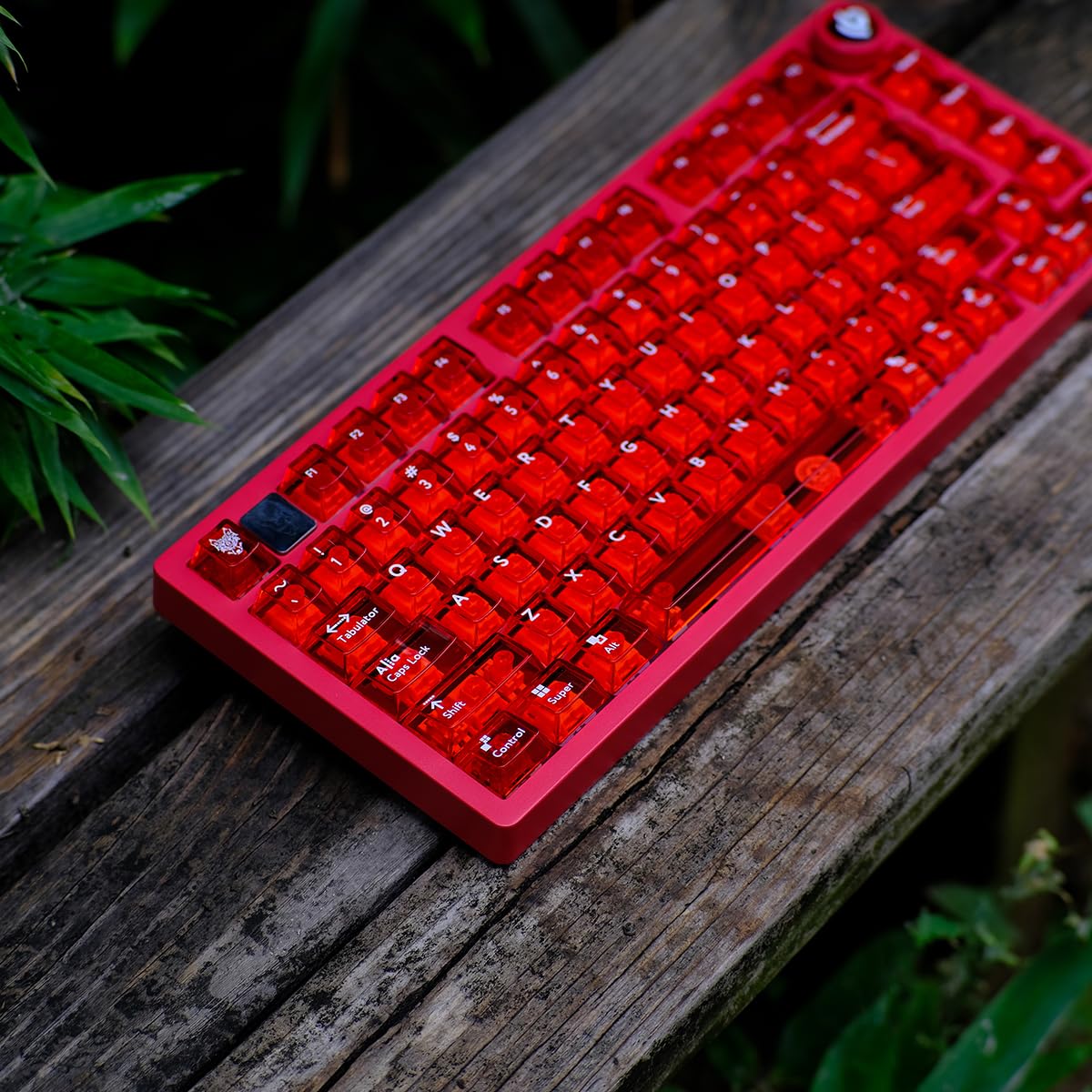 Set di 114 copritasti trasparenti in PC, profilo Cherry, compatibile con tastiere meccaniche con Switch Cherry MX, colore rosso trasparente