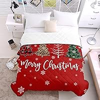 Vista 4 de T&H XHome Quilt Twin Size Luxury Quilted Comforter Bedspread-Thin Soft Cozy, Red Christmas Buffalo Plaid Xmas Tree Snowflake Reversible Stitched