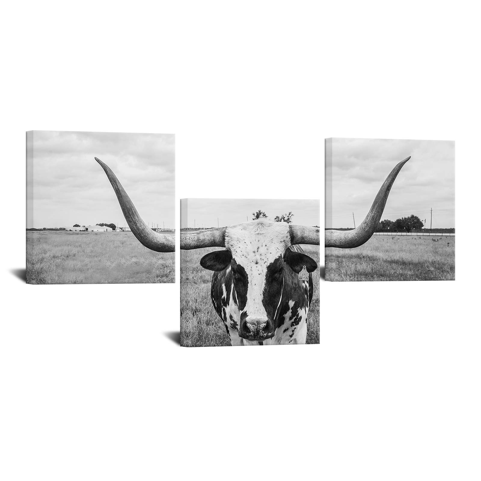 Biuteawal Black and White Animal Canvas Wall Art Texas Longhorn Picture Painting Highland Cattle with Long Horns Farmhouse Artwork Wall Decor Modern Living Room Decorations Ready to Hang