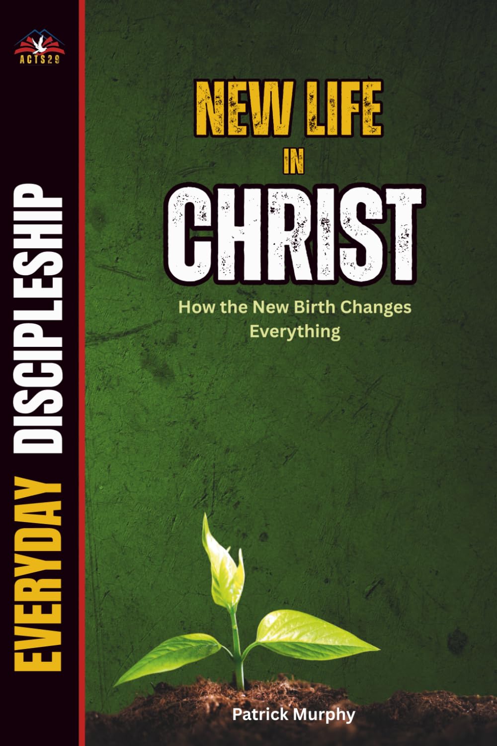 New Creations in Christ: How the New Birth Changes Everything (Everyday Discipleship)