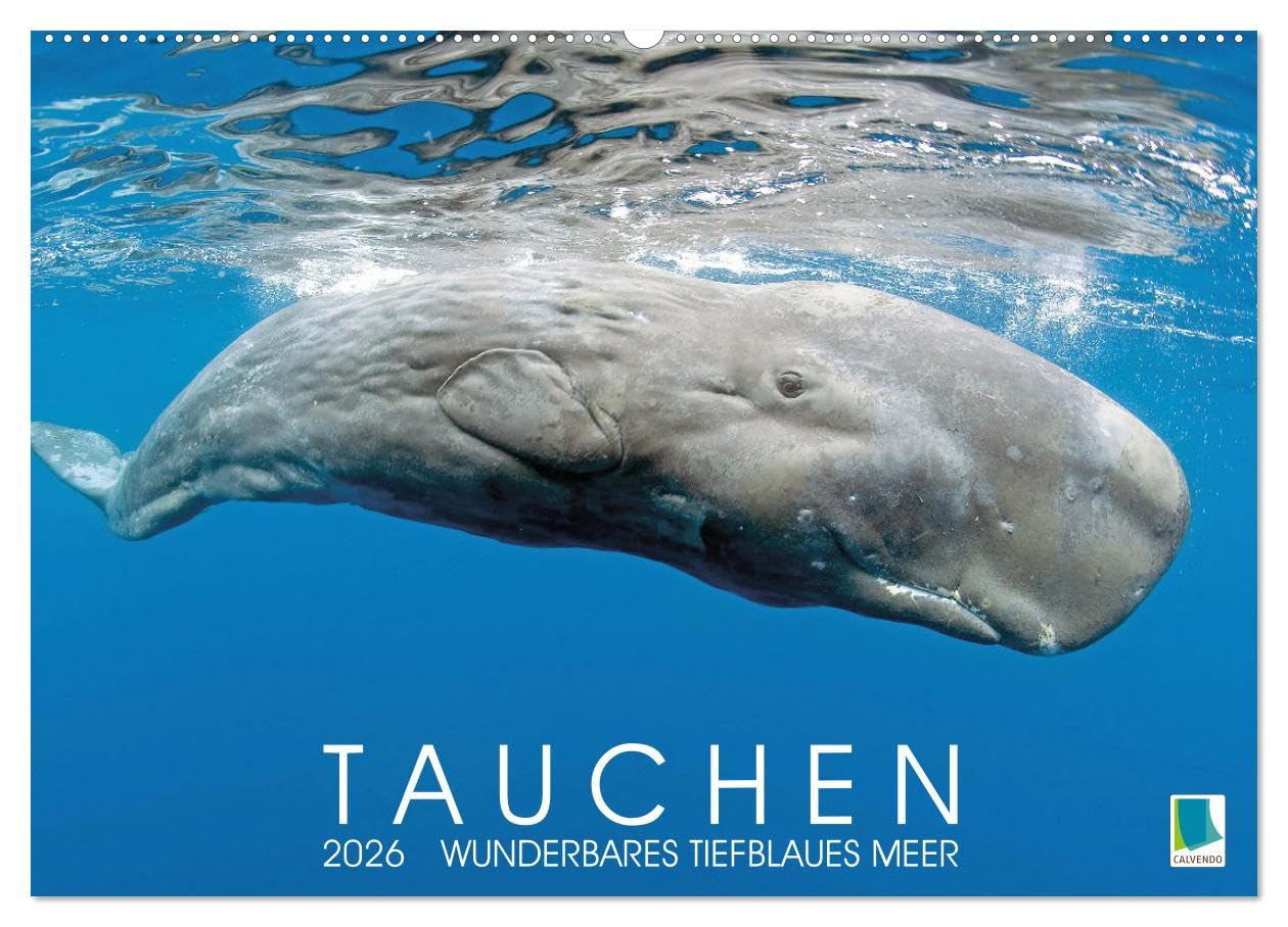 Tauchen: Wunderbares tiefblaues Meer (Wandkalender 2026 DIN A2 quer), CALVENDO Monatskalender: Großartige Unterwasseraufnahmen in der blauen Tiefe: Faszination Tauchen