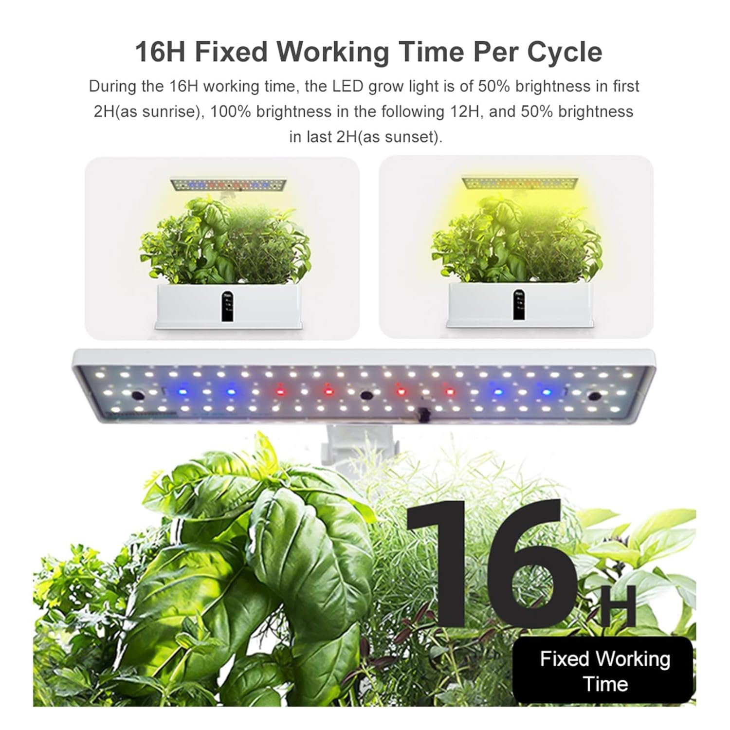 Hydroponic Growing Kits Garden Hydroponics Growing System Indoor Herb Garden Kit Automatic Timing LED Grow Lights Smart Water Pump for Home Flower Pots for Fruits, Vegetables, Herb