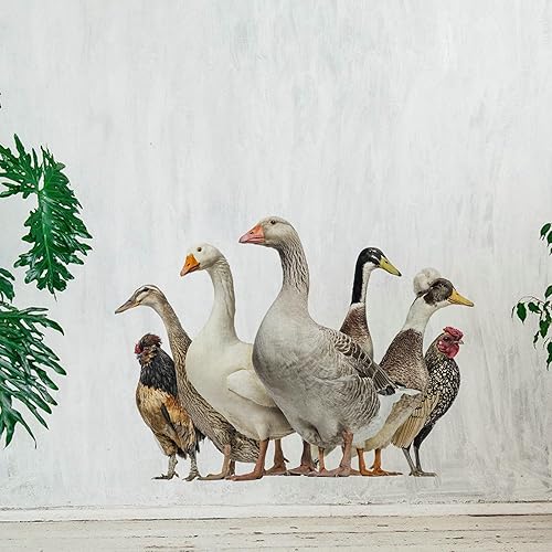 Calcomanías de pared de patos divertidos, calcomanías de pared extraíbles para despegar y pegar, regalo divertido para amigos de Navidad, cocina,