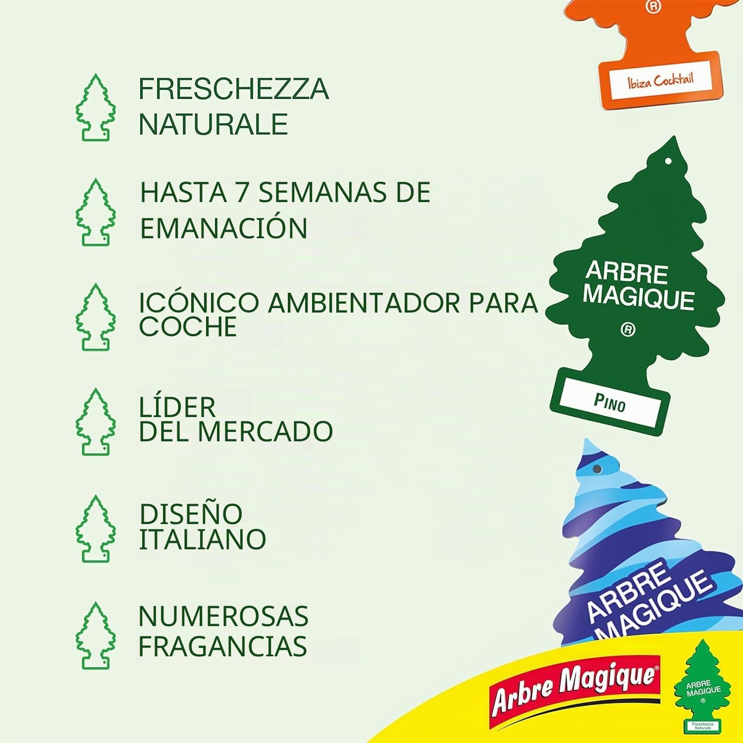 Arbre Magique, Degustación Olfativa, Ambientador para Auto, Caja de 24 Piezas Surtidas