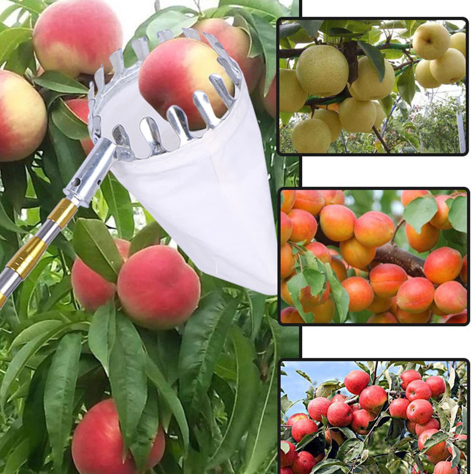 Raccogli Frutta Telescopico 2.2m | Con Borsa In Tessuto, Per Mele Pere Arance E Altri Frutti - Foto 5