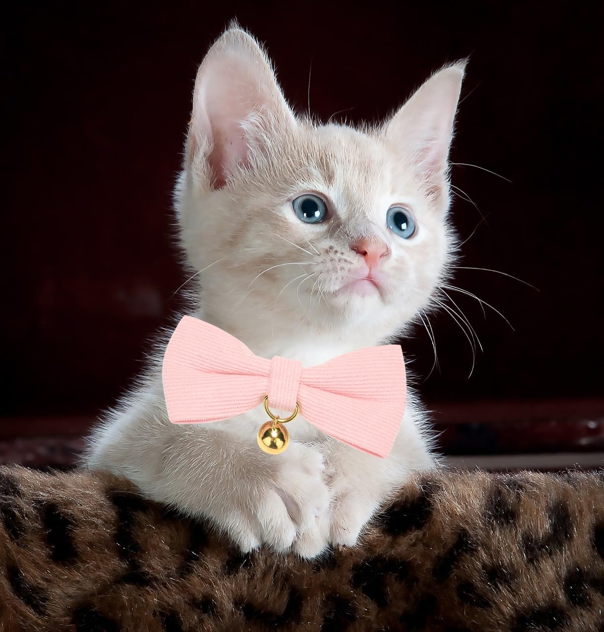 YUDOTE Ultra-soft Collar Natural Cotton Corduroy Made for Cats with Sensitive Skin Safety Kitten Collars with Quick-release Buckle and Removeable Bow-tie - Image 3