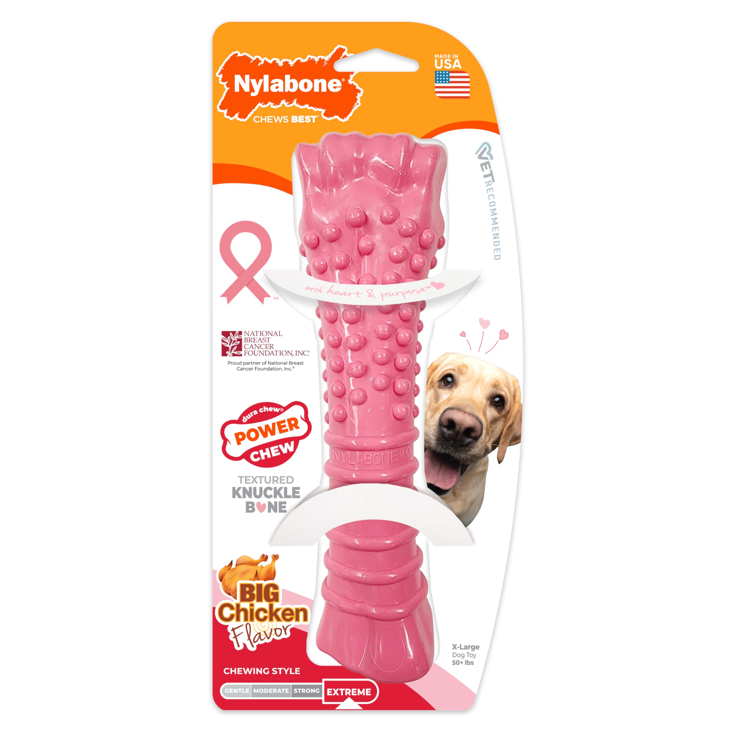 Nylabone Power Chew Breast Cancer Awareness Femur Bone Chew Toy