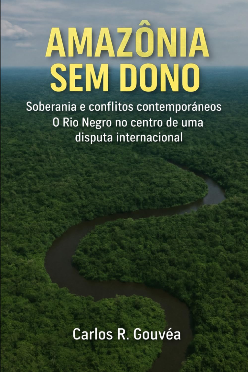 Amazônia Sem Dono: Estado ausente, judicialização e disputa pelo território