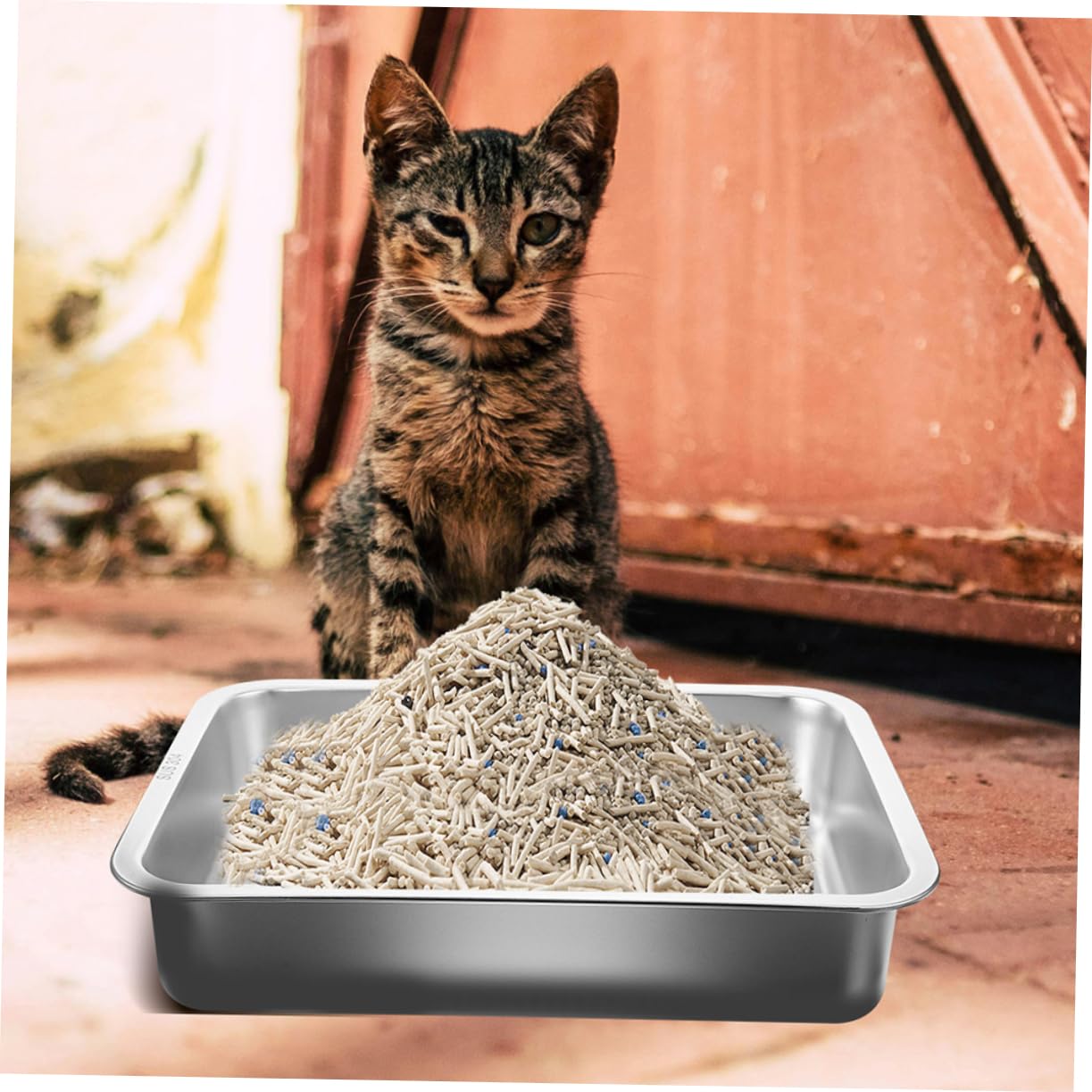 Abaodam Kleine Offene Katzentoilette Aus Edelstahl Antihaftbeschichtete Stabile Und Pflegeleichte Katzenstreu-schale Für Kitten Und Kleine Katzen Magnetfreies Design