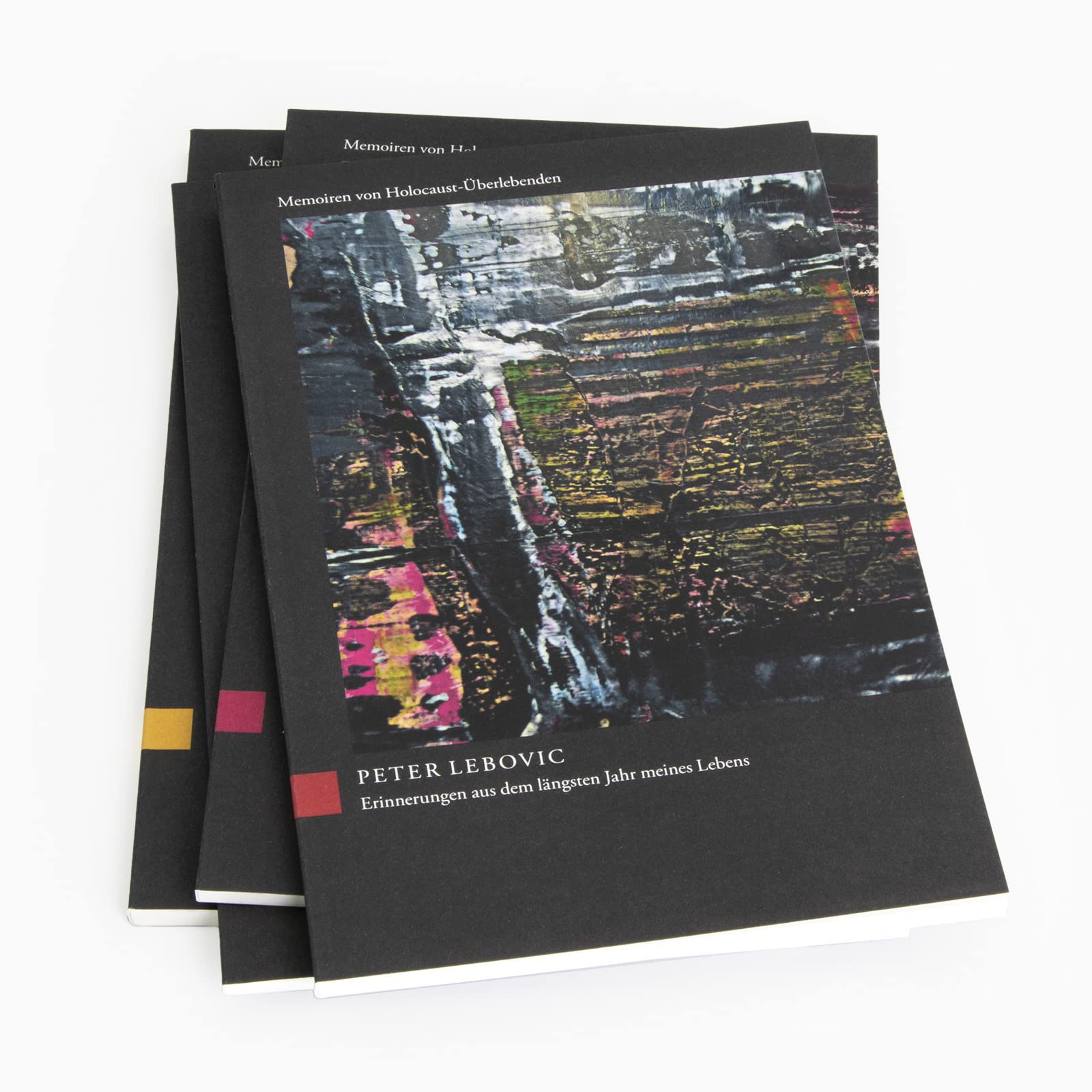 »Mit meiner Vergangenheit lebe ich«: Memoiren von Holocaust-Überlebenden | Einzigartige Dokumentation der letzten Zeugen des Holocaust | Mit Bildern von Gerhard Richter