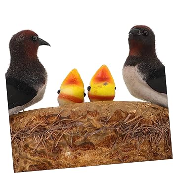 Amazon | ノーブランド品 1 セット ツバメの巣の家の装飾 ツバメ