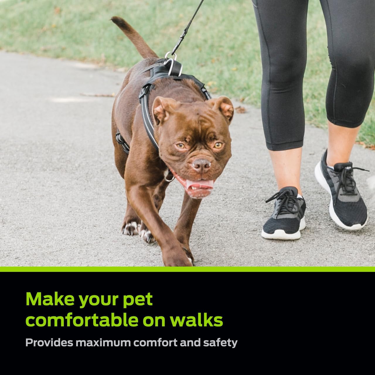 Premier Pet No Pull Comfort Dog Harness, Black, Medium image 2