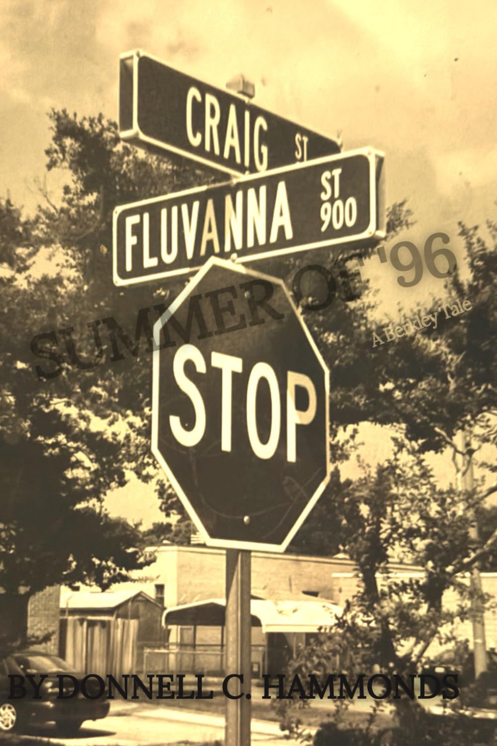 Summer Of '96:: A Berkley Tale